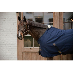 Camicia Cotone Kentucky Camicia Cotone Kentucky