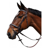 Bridão Zurich Combinado...