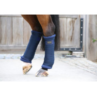 Cotoni americani Kentucky Blu navy