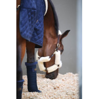 Cotoni americani Kentucky Blu navy
