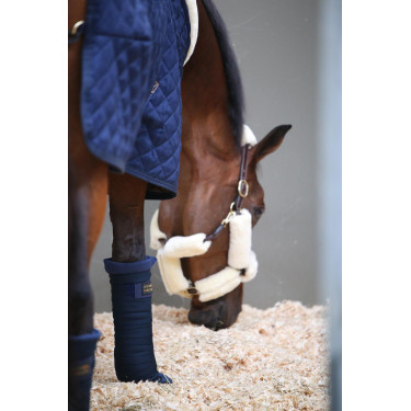 Cotoni americani Kentucky Blu navy Cotoni americani Kentucky Blu navy