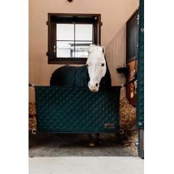 Porta da box Kentucky Verde scuro Porta da box Kentucky Verde scuro