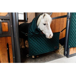 Porta da box Kentucky Verde scuro Porta da box Kentucky Verde scuro