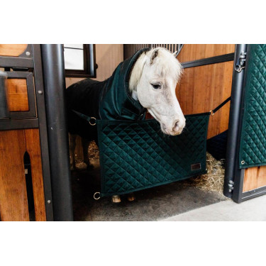 Porta da box Kentucky Verde scuro Porta da box Kentucky Verde scuro