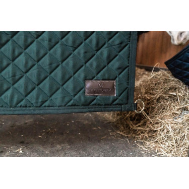 Porta da box Kentucky Verde scuro Porta da box Kentucky Verde scuro