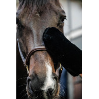 Guanto da striglia in montone Kentucky Nero