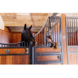 Giocattolo Rilassante Tableux Kentucky Giocattolo Rilassante Tableux Kentucky