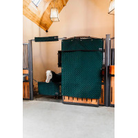 Protezione per la testa Kentucky Verde scuro