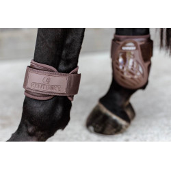 Paratendini per giovani cavalli Kentucky Paratendini per giovani cavalli Kentucky