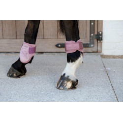 Paratendini posteriori per giovani cavalli Velvet Kentucky Rosa antico
