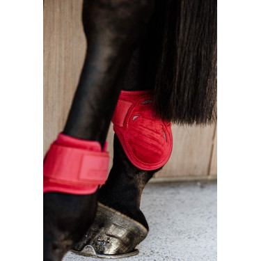 Paratendini posteriori per giovani cavalli Velvet Kentucky Paratendini posteriori per giovani cavalli Velvet Kentucky