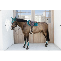 Paratendini posteriori per giovani cavalli Velvet con montone vegano Kentucky Smeraldo Verde Paratendini posteriori per giovani cavalli Velvet con montone vegano Kentucky Smeraldo Verde