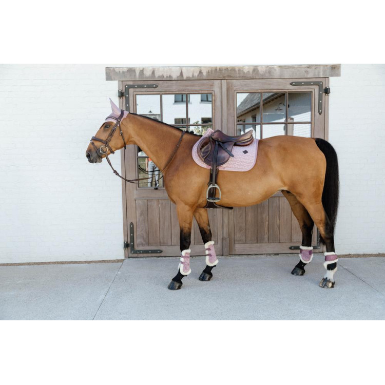 Paratendini posteriori per giovani cavalli Velvet con montone vegano Kentucky Paratendini posteriori per giovani cavalli Velvet con montone vegano Kentucky
