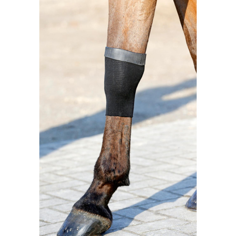 Calza Tendon Grip Gel Kentucky
