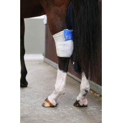 Calza Tendon Grip Kentucky Calza Tendon Grip Kentucky