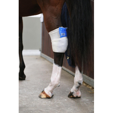 Calza Tendon Grip Kentucky Calza Tendon Grip Kentucky