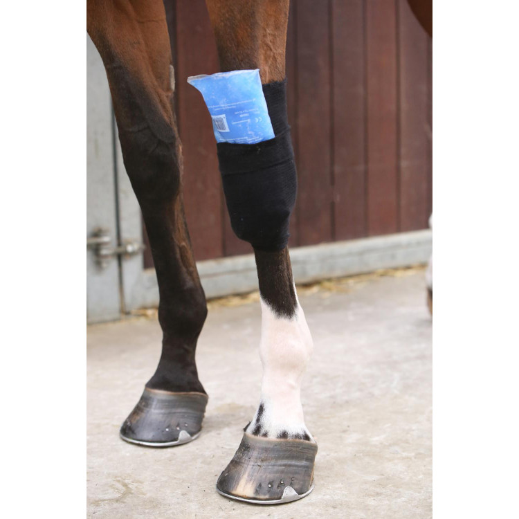 Calza Tendon Grip Kentucky