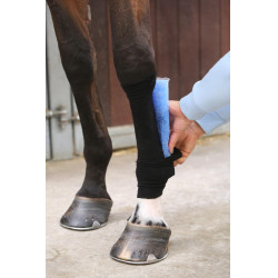Calza Tendon Grip Kentucky Nero