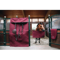 Tenda da box Kentucky Nero