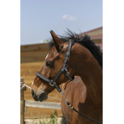 Capezzina Norton Zari Nero Capezzina Norton Zari Nero