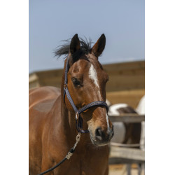 Capezzina Norton Zari Blu navy