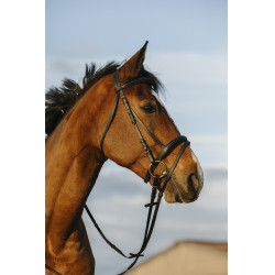 Briglia Riding World con capezzina combinata doppia Briglia Riding World con capezzina combinata doppia