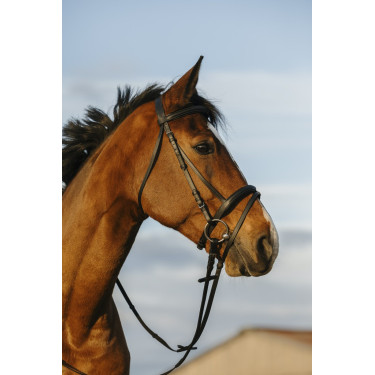 Briglia Riding World con capezzina combinata doppia Briglia Riding World con capezzina combinata doppia