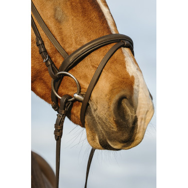 Briglia Riding World con capezzina combinata doppia Briglia Riding World con capezzina combinata doppia