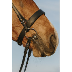 Briglia Riding World Capezzina larga Briglia Riding World Capezzina larga