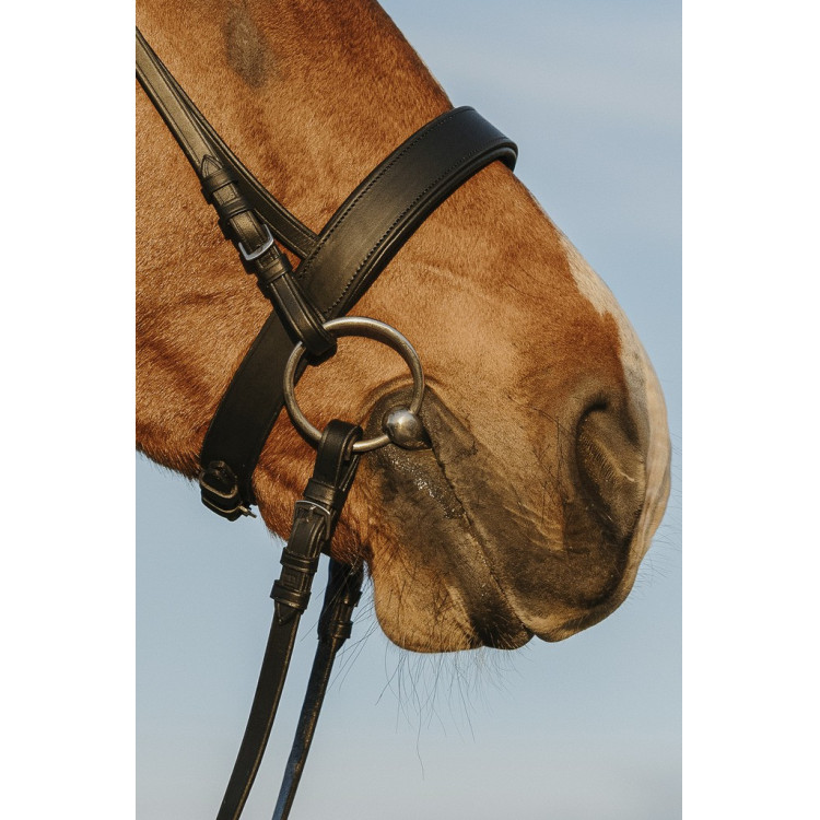 Briglia Riding World Capezzina larga Briglia Riding World Capezzina larga