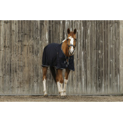Camicia Equithème Micro mesh Camicia Equithème Micro mesh