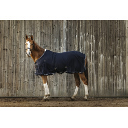 Camicia Equithème Micro mesh Camicia Equithème Micro mesh