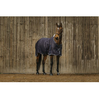 Camicia Equithème Vague Blu navy