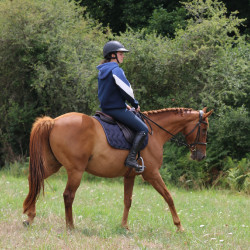 Felpa New Twister Pénélope Blu navy