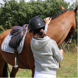 Felpa Pénélope Chilly Grigio