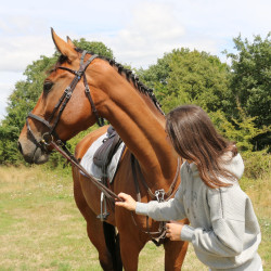 Felpa Pénélope Chilly Grigio