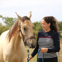 Maglione Pénélope x Saint James Maelle Blu navy / écru / rosso Motivi