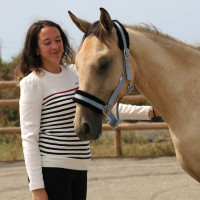 Maglione Pénélope x Saint James Maelle Maglione Pénélope x Saint James Maelle