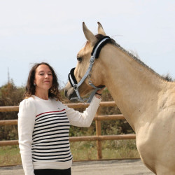 Maglione Pénélope x Saint James Maelle Ecru / blu navy / rosso Motivi Maglione Pénélope x Saint James Maelle Ecru / blu navy / rosso Motivi