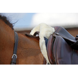 Ammortizzatore in montone Absorb Kentucky Marina Blu marino Ammortizzatore in montone Absorb Kentucky Marina Blu marino