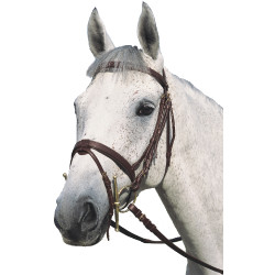 Redine piatta doppia Canter