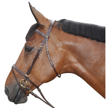 Briglia impunturata combinata Canter Briglia impunturata combinata Canter