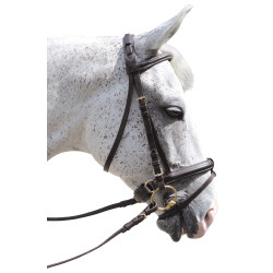 Bridon Pull Back Euro Canter