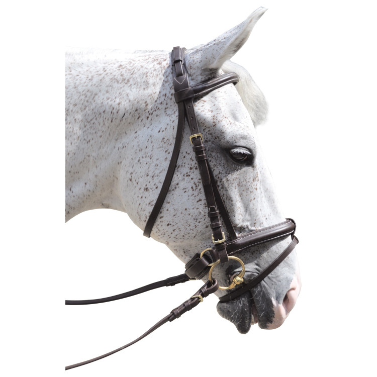Bridon Pull Back Euro Canter