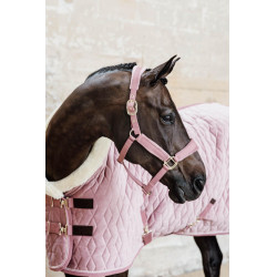 Copertina di presentazione Velvet Kentucky Rosa antico