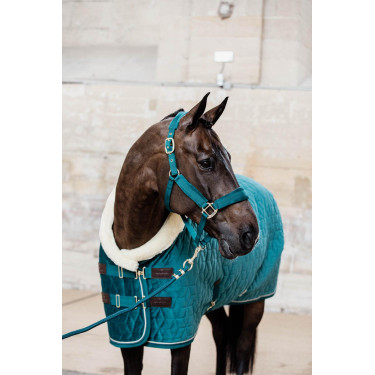 Copertina di presentazione Velvet Kentucky Smeraldo Verde