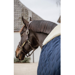Coperta da box Comfort Kentucky Coperta da box Comfort Kentucky