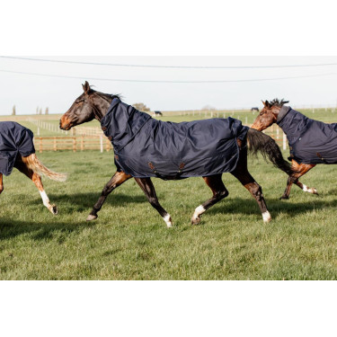 Coperta da esterno All Weather Quick Dry Fleece con copricoda Kentucky Coperta da esterno All Weather Quick Dry Fleece con copricoda Kentucky