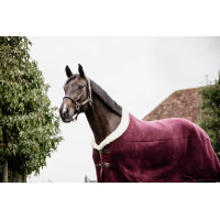Camiccia Asciugante Show Fleece Heavy Kentucky Marina Blu marino Camiccia Asciugante Show Fleece Heavy Kentucky Marina Blu marino