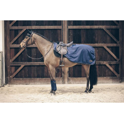 Coprireni All Weather Kentucky